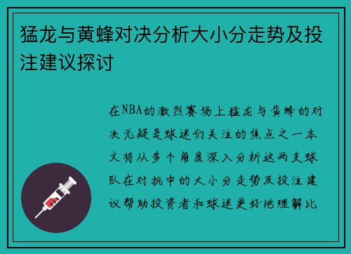 猛龙与黄蜂对决分析大小分走势及投注建议探讨