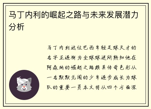 马丁内利的崛起之路与未来发展潜力分析