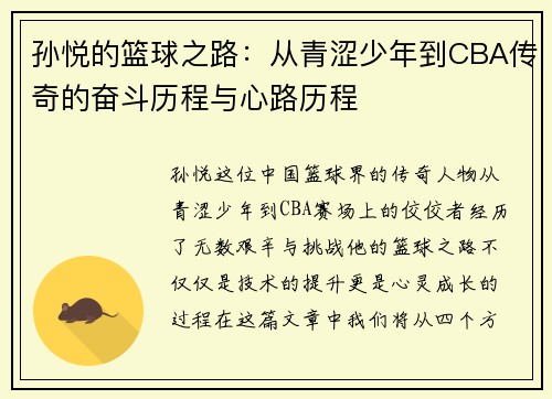 孙悦的篮球之路：从青涩少年到CBA传奇的奋斗历程与心路历程