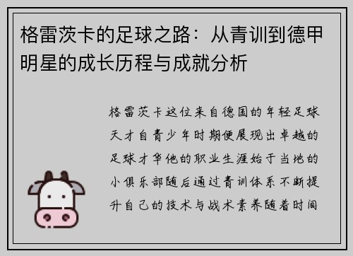 格雷茨卡的足球之路：从青训到德甲明星的成长历程与成就分析