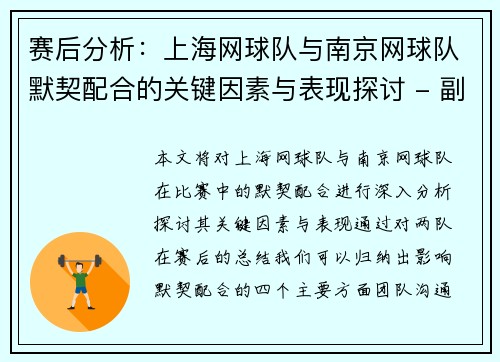 赛后分析：上海网球队与南京网球队默契配合的关键因素与表现探讨 - 副本