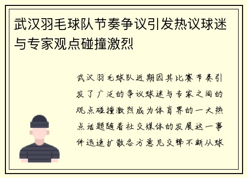 武汉羽毛球队节奏争议引发热议球迷与专家观点碰撞激烈